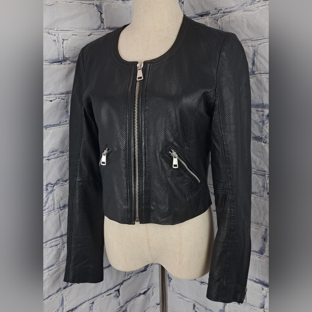 Bagatelle NYC Women's Genuine Leather Jacket Perforated Cropped Zip Cuffs Medium - Picture 14 of 16